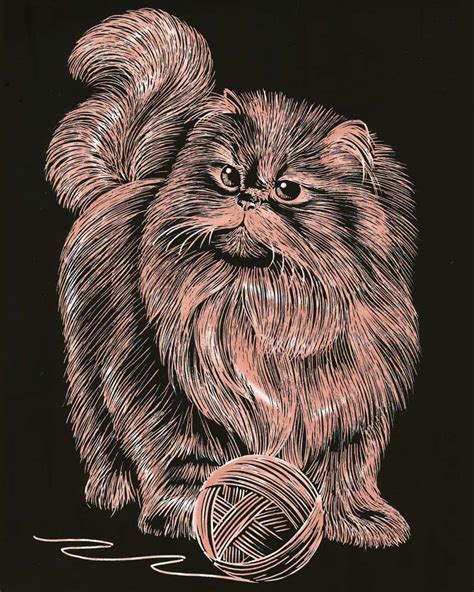 Scratch Art Copper Persian Cat - Artfoil - Engraving Art