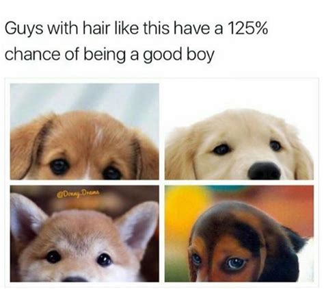 Are "Good Boy"memes a good investment? : r/MemeEconomy