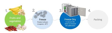 Freeze drying: A turn-key container solution - Agri4Africa