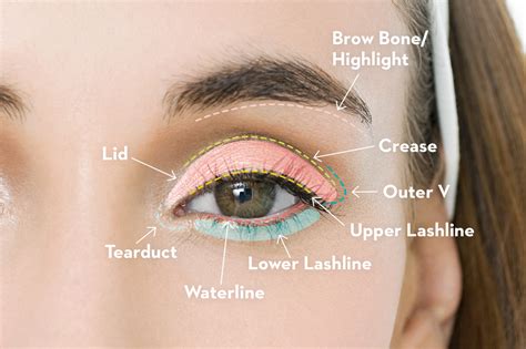 Parts Of The Eye For Makeup | Saubhaya Makeup