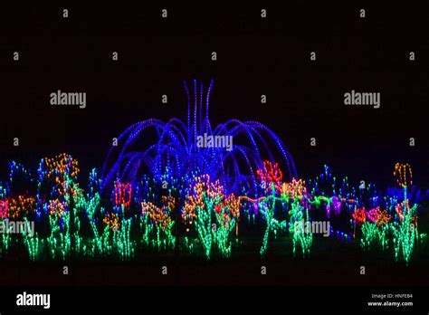 Fountain at Meadowlark Botanical Gardens - Winter Walk of Lights Stock Photo - Alamy