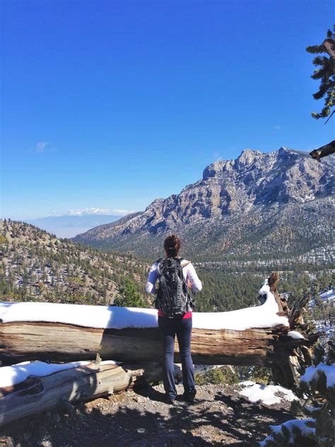 Mount Charleston - Hiking Trails, Lodge, Cabins, Hotel & Camping, Nevada