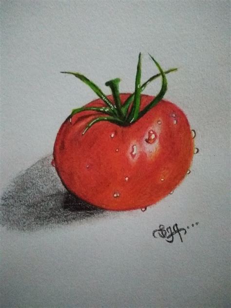 Karthika Meera Ideas: Tomato realistic drawing