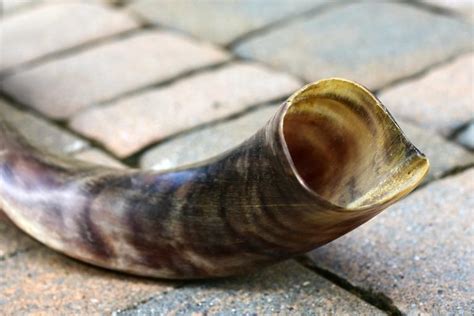 Shofar Buying Guide: What to Know Before You Buy a Shofar