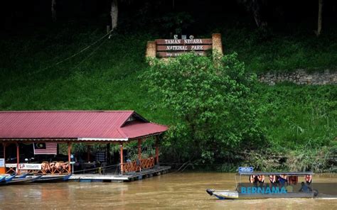 Pahang National Park back in operation today - Selangor Journal