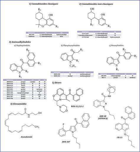 Exemples de structures des principaux cannabinoïdes de synthèse. | Download Scientific Diagram