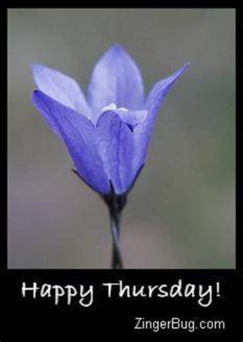 Happy Thursday Blue Flower Glitter Graphic, Greeting, Comment, Meme or GIF