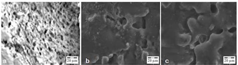 Influence of the Colorless Waste Glass on the Mineralogical, Microstructural and Mechanical ...