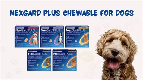 PPT - Buy Nexgard Plus for Dogs Online | Trusted Flea and Tick Treatment PowerPoint Presentation ...