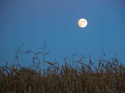 Blue Corn Moon | Flickr - Photo Sharing!