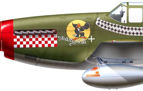 Ww2 Aircraft, Military Aircraft, Wwii Airplane, Dutch East Indies, P51 ...