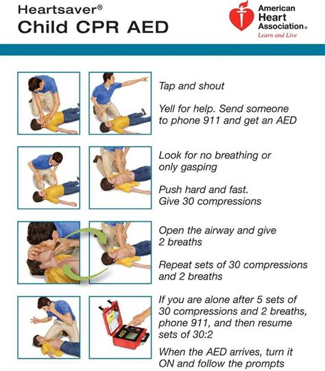 CPR for Kids | #preparedness #cpr #firstaid #kids | Child cpr, Cpr ...