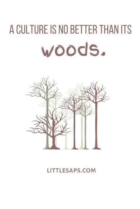 31 Trees & Nature Quotes ideas | nature quotes, quotes, words