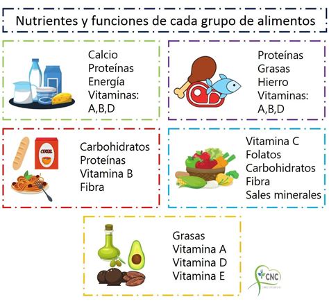 Naturaleza reforma gusto tipos de nutrientes en los alimentos álbum de recortes punto final ...