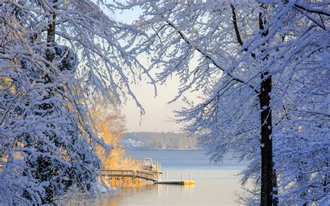 Warm sun reflected on the snowy trees by the lake wallpaper - Nature wallpapers - #54090