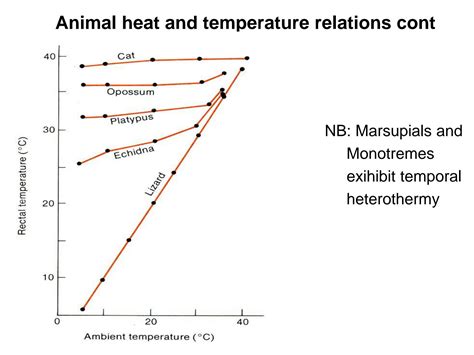 SOLUTION: Diagram heat thermoregulation - Studypool