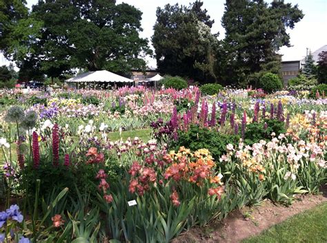 Schreiners Iris Garden, Salem OR | Iris garden, Plants, Garden