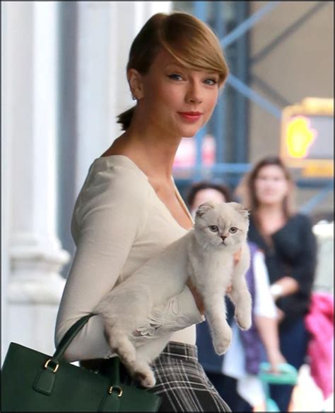 Taylor Swift Cats Names