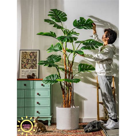 Cây giả Monstera lá xẻ rừng nhiệt đới | Aurora Home