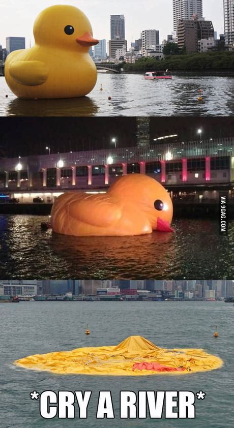 Giant Rubber Duck Meme