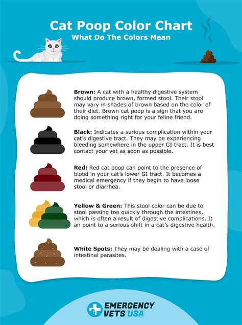 Cat Poop Color Chart | Find Out What The Colors Mean