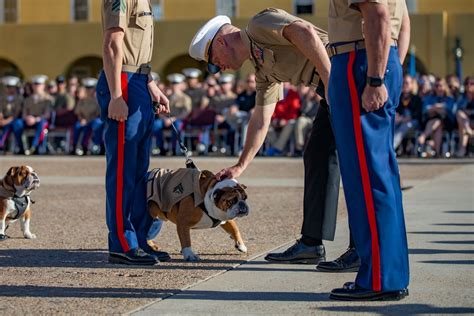 DVIDS - Images - MCRD San Diego Mascot Relief and Appointment [Image 11 ...