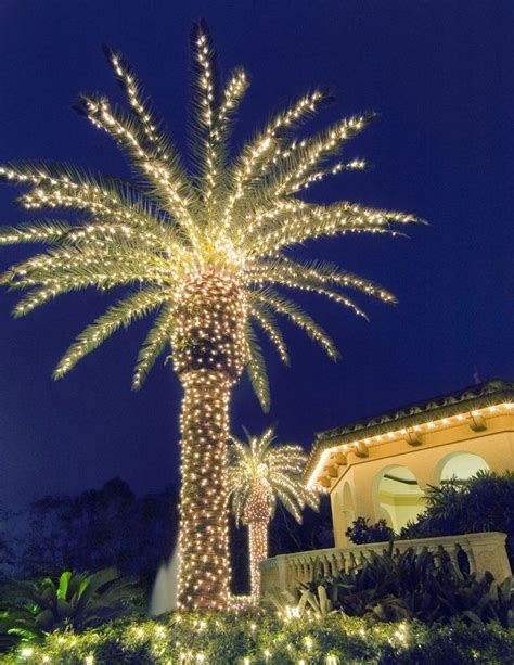 Pin by Nondas Hebda on Christmas lights | Florida christmas, Christmas palm tree, Palm tree lights