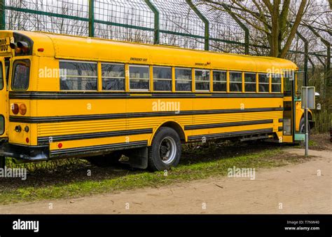 yellow old vintage school bus, Retro vehicles, Transportation for the ...