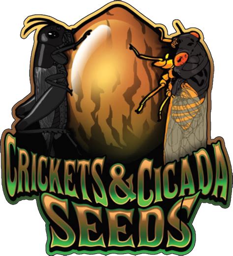 Crickets & Cicada Seeds - Seeds Here Now
