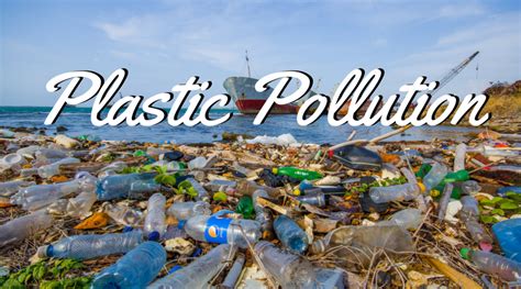 The causes, effects and solution for plastic pollution | Plastic pollution, Pollution, Plastic