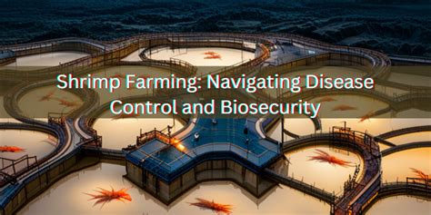 Shrimp Farming: Navigating Disease Control and Biosecurity