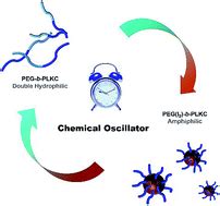 The fabrication of a supra-amphiphile for dissipative self-assembly - Chemical Science (RSC ...