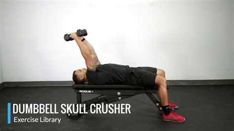 Dumbbell Skull Crusher - OPEX Exercise Library - YouTube