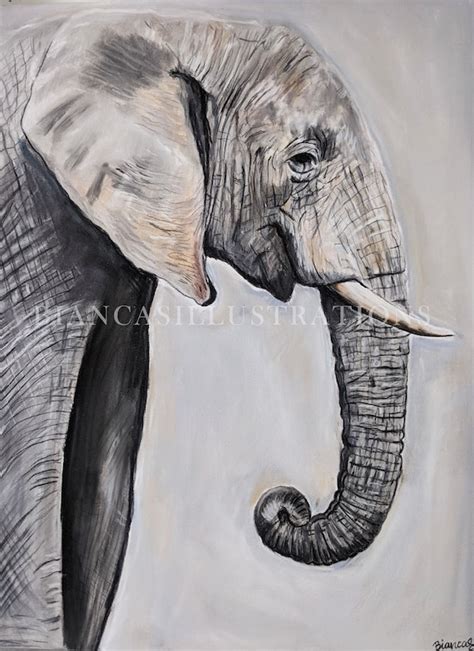 Realistic Elephant Drawings