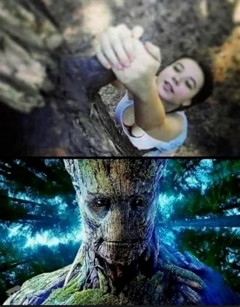 The best Groot memes :) Memedroid