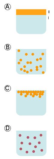 Hydrophilic and Hydrophobic Colloids | Introduction to Chemistry