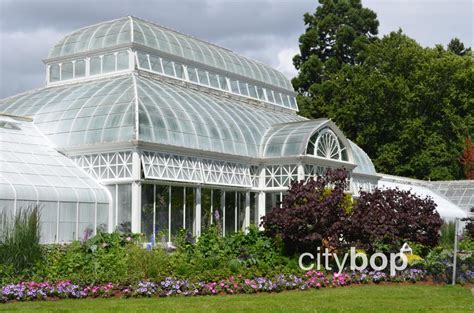 10 BEST Things at Volunteer Park Conservatory - CityBOP