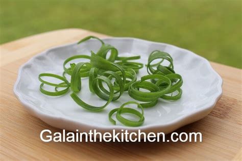 How to Make Green Onion Curls Garnish - Gala in the Kitchen