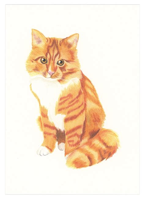 Orange Tabby Art Print by GoodPostage on Etsy White Tabby Cat, Orange ...