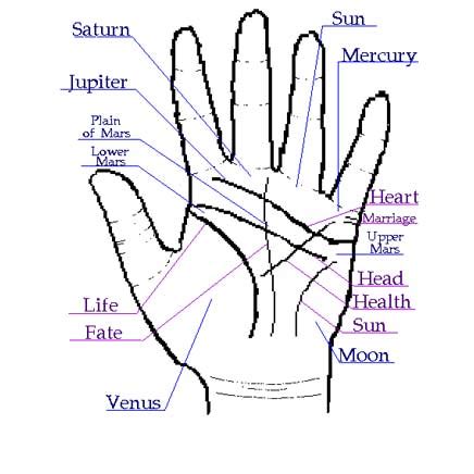 How You Can Attend Palmistry Love Lines Pictures With Minimal Budget. | palmistry love lines ...