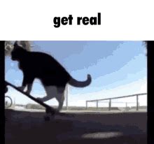 Get Real GIF - GetReal - Discover & Share GIFs