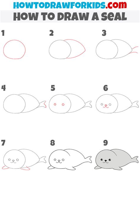 How to Draw a Seal - Easy Drawing Tutorial For Kids