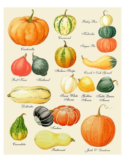 Pumpkin Print - Pumpkin Art - Pumpkin Chart Print - Harvest Print - Autumn Print - Thanksgiving ...