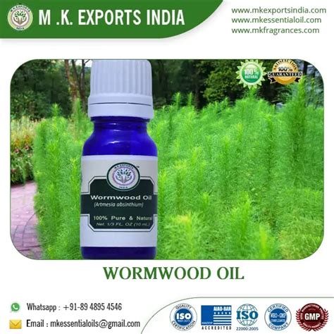 Best Quality Suppliers Of Wormwood Essential Oil - Buy Wormwood Oil ...