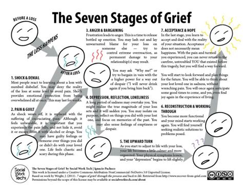 The Seven Stages of Grief | Grief worksheets, Grief counseling, Seven stages of grief