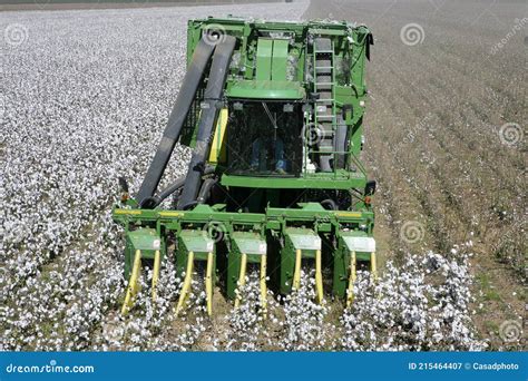 Cotton Harvest with a Harvester Machine Editorial Photography - Image ...