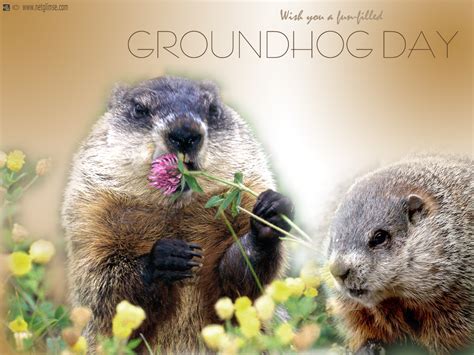 wallpaper 7: Groundhog Day Wallpapers