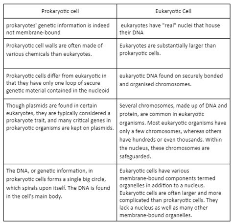 Eukaryotic And Prokaryotic Cells Differences