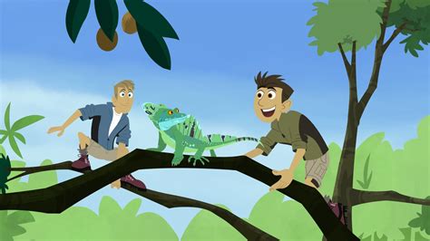 Basilisk Lizard | Wild Kratts | PBS LearningMedia