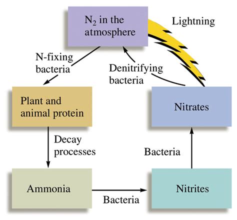 Nitrogen: Preparation, properties and uses - W3schools